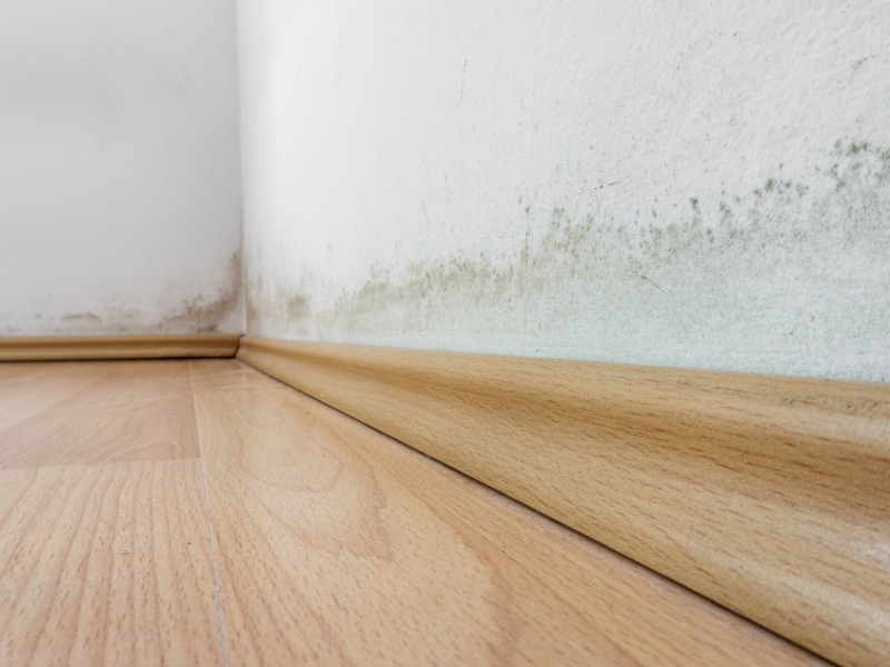 imagen Humedades por capilaridad- cómo detectarlas a tiempo y eliminarlas